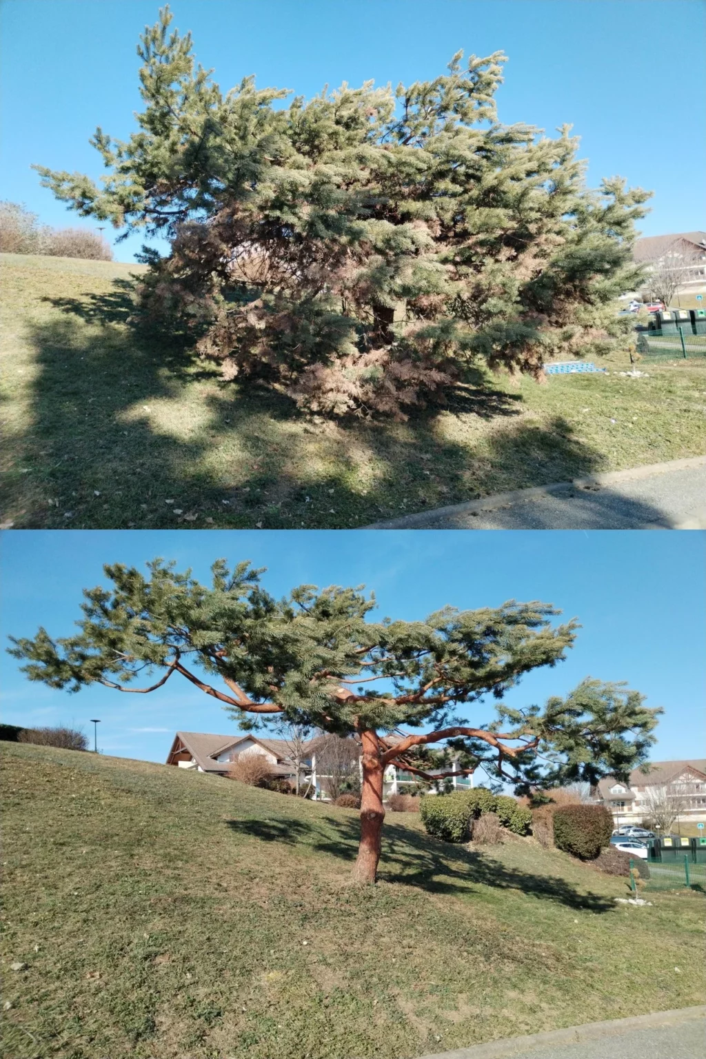 486940278 122220931724224440 4609127177037697701 n