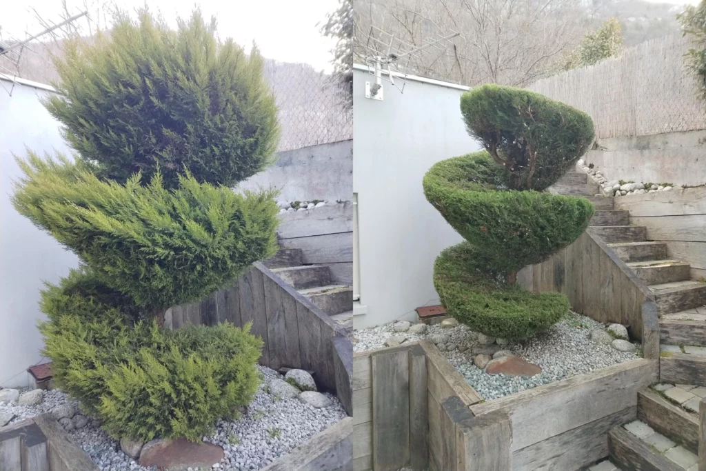 487604105 122222202710224440 1313421895759463054 n