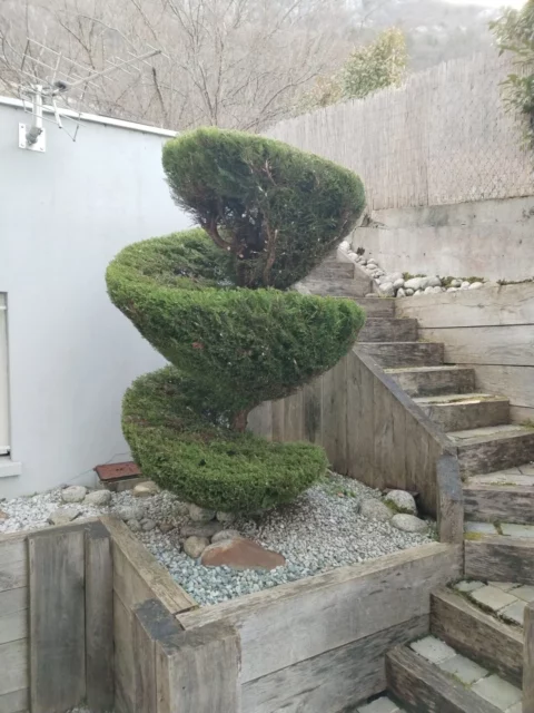 IMG 20230217
