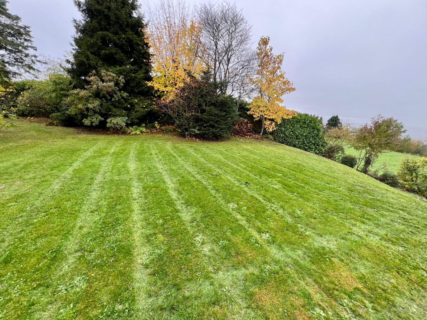 WhatsApp Image 2025 10 24 &agrave; 13.59.42 6dba1175