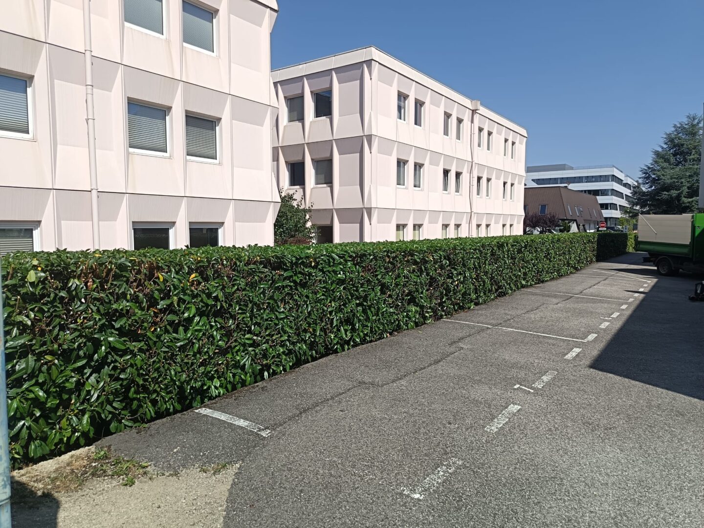 Entretien taille haie (2)