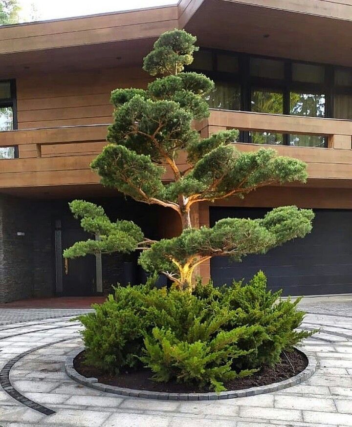 Taille &agrave; la japonaise